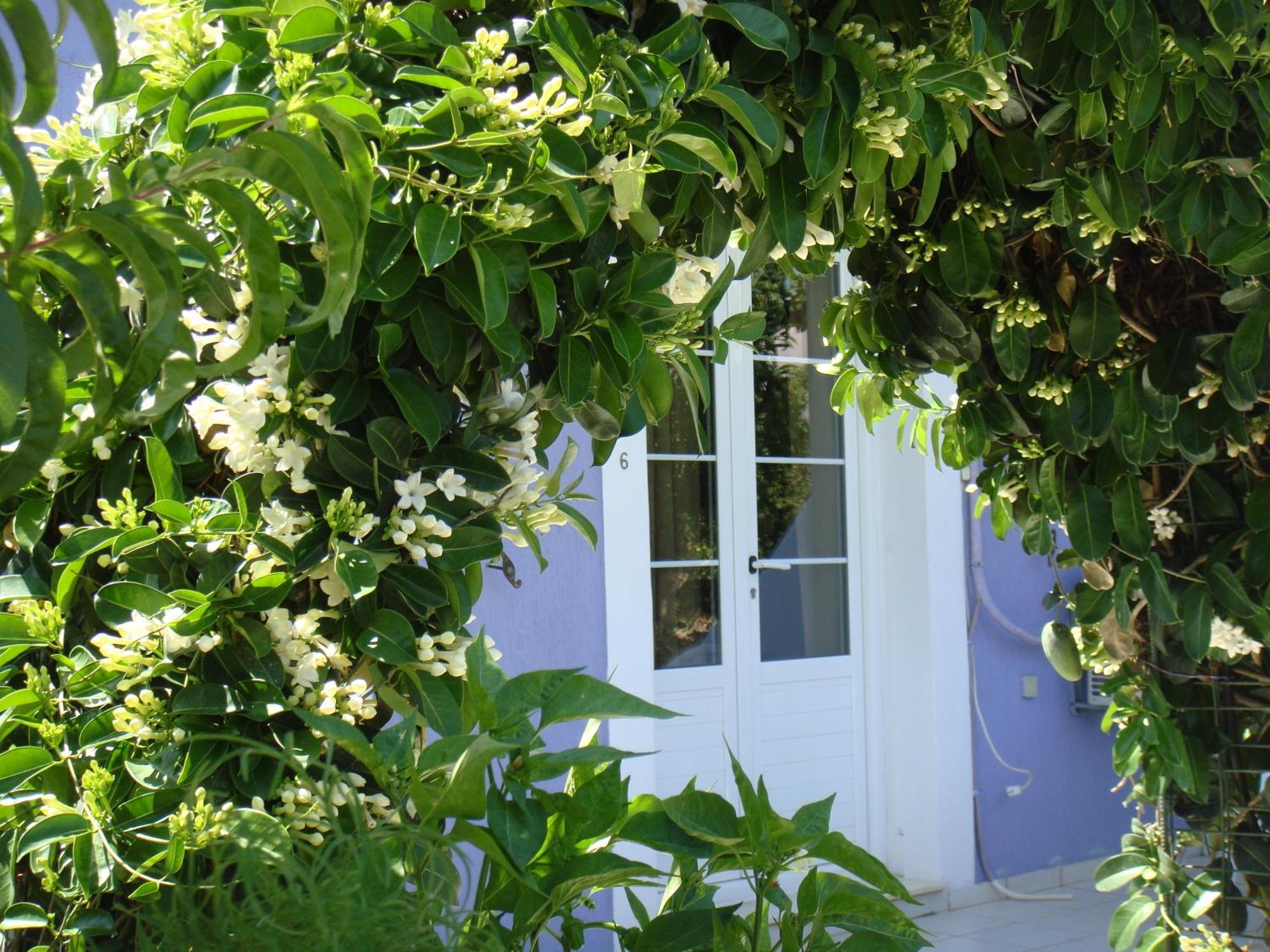 Villa Eliza Skala  外观 照片