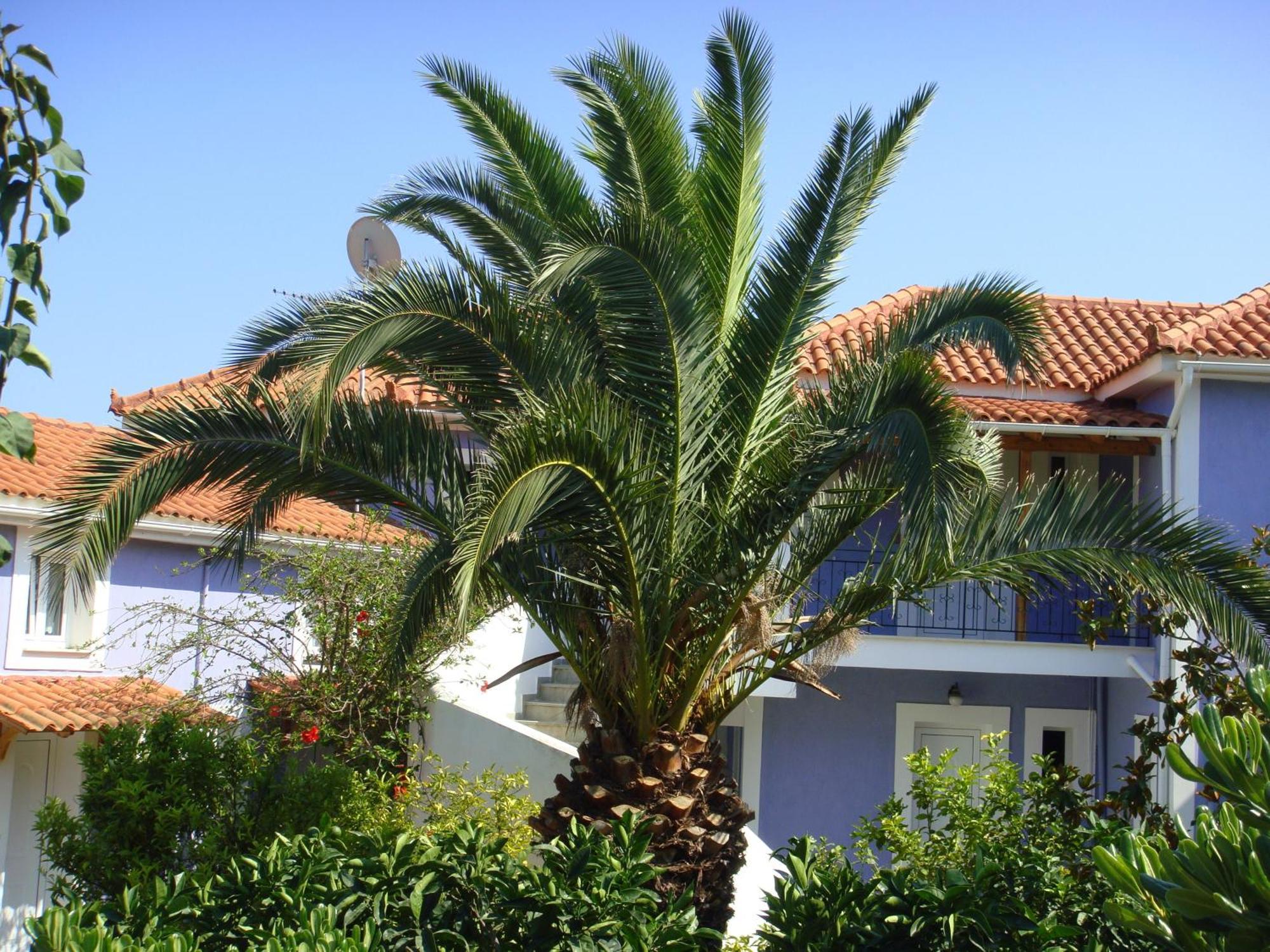 Villa Eliza Skala  外观 照片